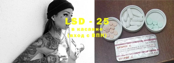круглые Гусев