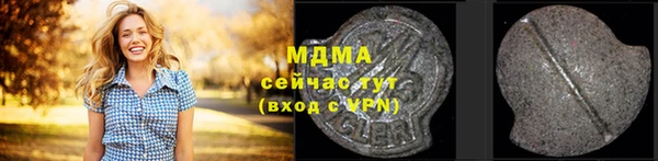 круглые Гусев