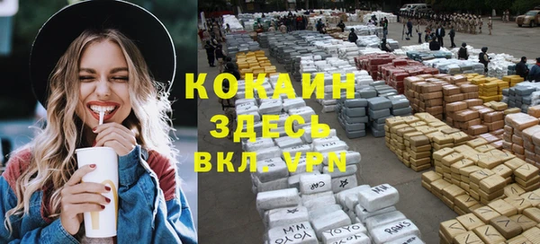 круглые Гусев