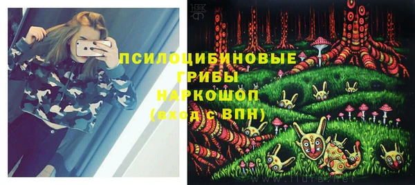 круглые Гусев