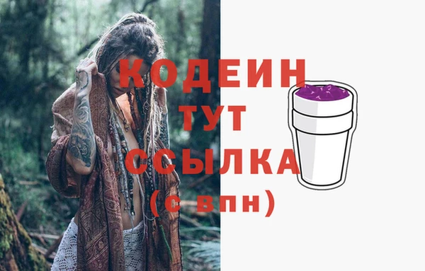 круглые Гусев