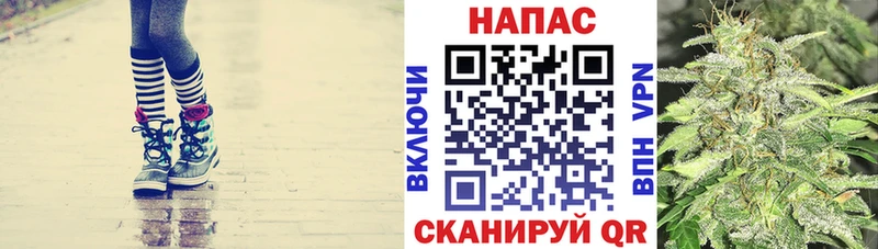 где продают наркотики  Тогучин  Марихуана план 